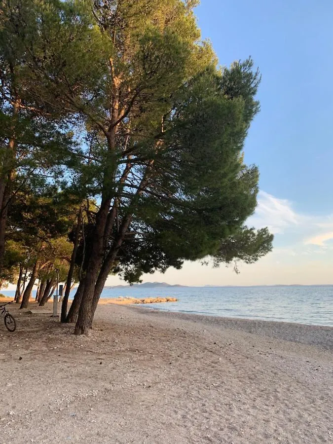 Pine Tree Villa Pakostane Croatia